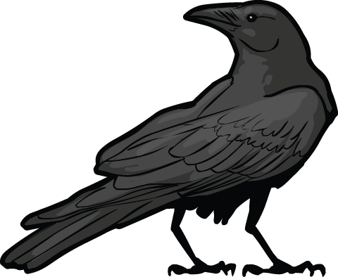 Illustration of a crow