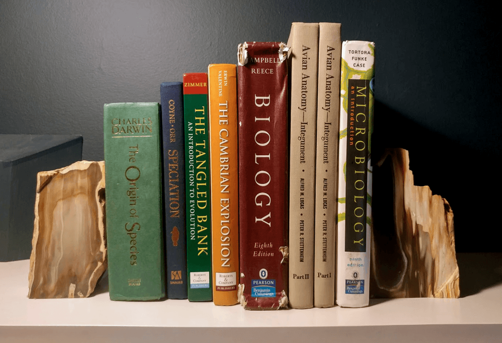 Photo of book shelf