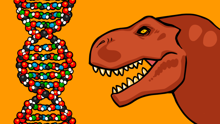 video thumb - What is DNA and How Does it Work?