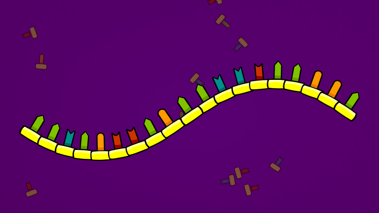 video thumb - What Is the RNA World Hypothesis?