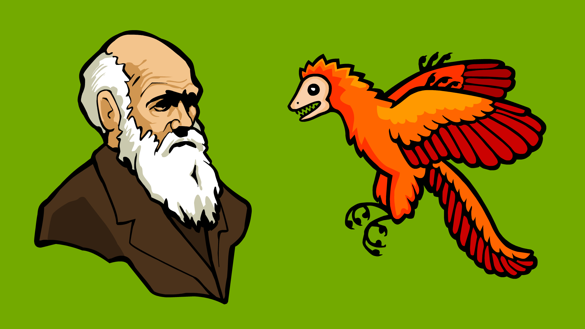 What clearance is evolution