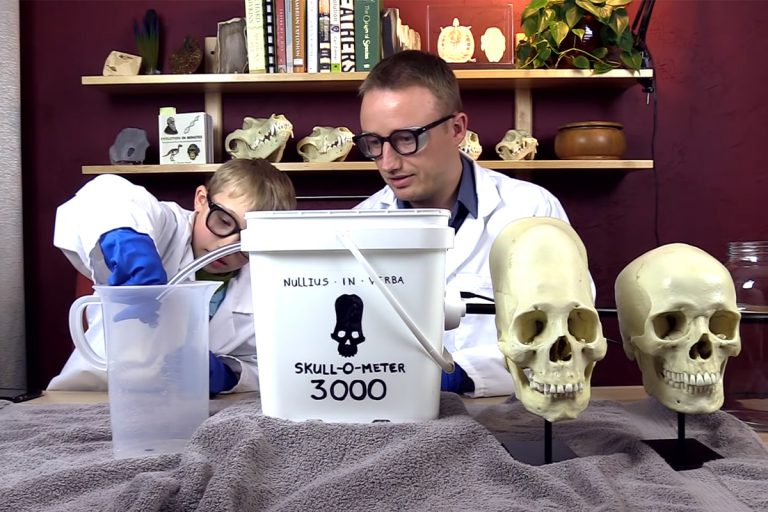 measure volume of skull using water displacement