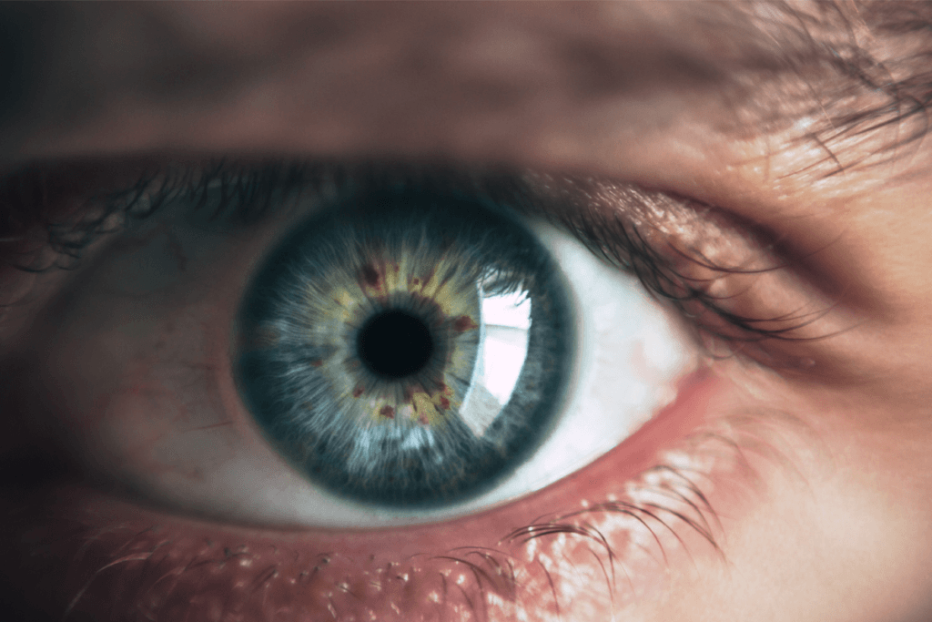 close view of a human eye