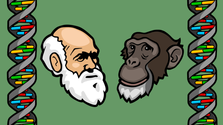 Darwin Chimp Endogenous Retrovirus