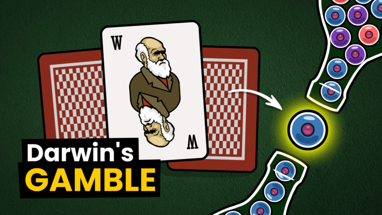 Darwin's Gamble - The Single-Cell Bottleneck