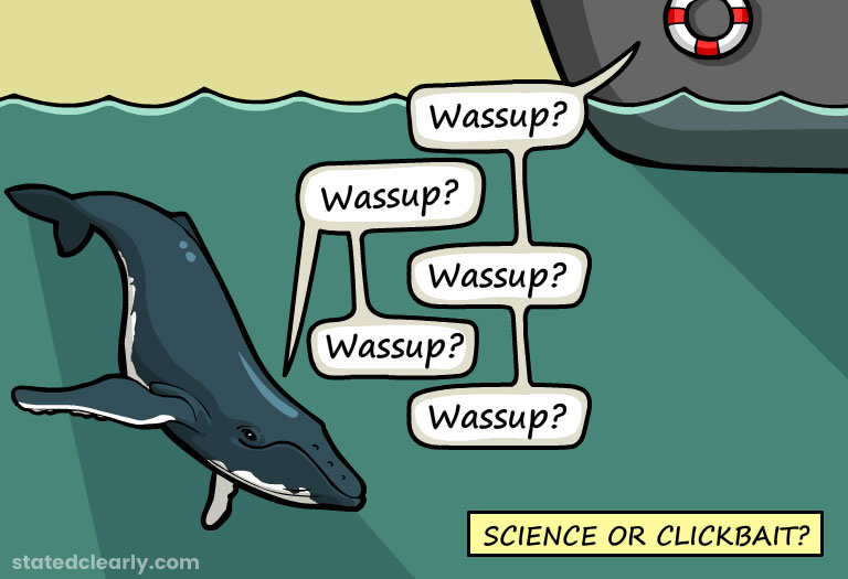 Can whales talk?